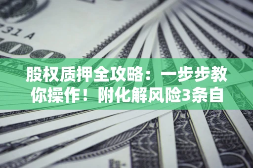 济南股权质押全攻略：一步步教你操作！附化解风险3条自救法则
