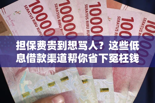 济南担保费贵到想骂人？这些低息借款渠道帮你省下冤枉钱